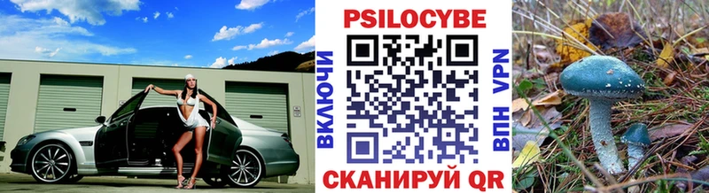 MEGA зеркало  Тетюши  Псилоцибиновые грибы MAGIC MUSHROOMS  продажа наркотиков 